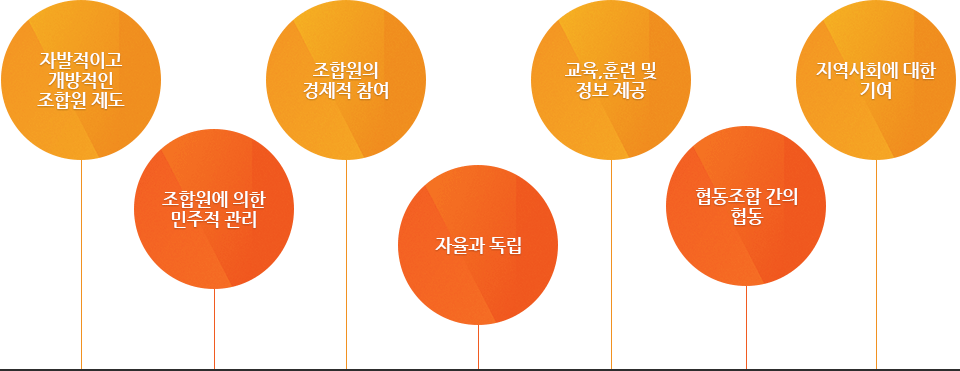 자발적이고 개방적인 조합원 제도, 조합원에 의한 민주적 관리, 조합원의 경제적 참여, 자율과 독립, 교육,훈련 및 정보제공, 협동조합 간의 협동, 지역사회에 대한 기여